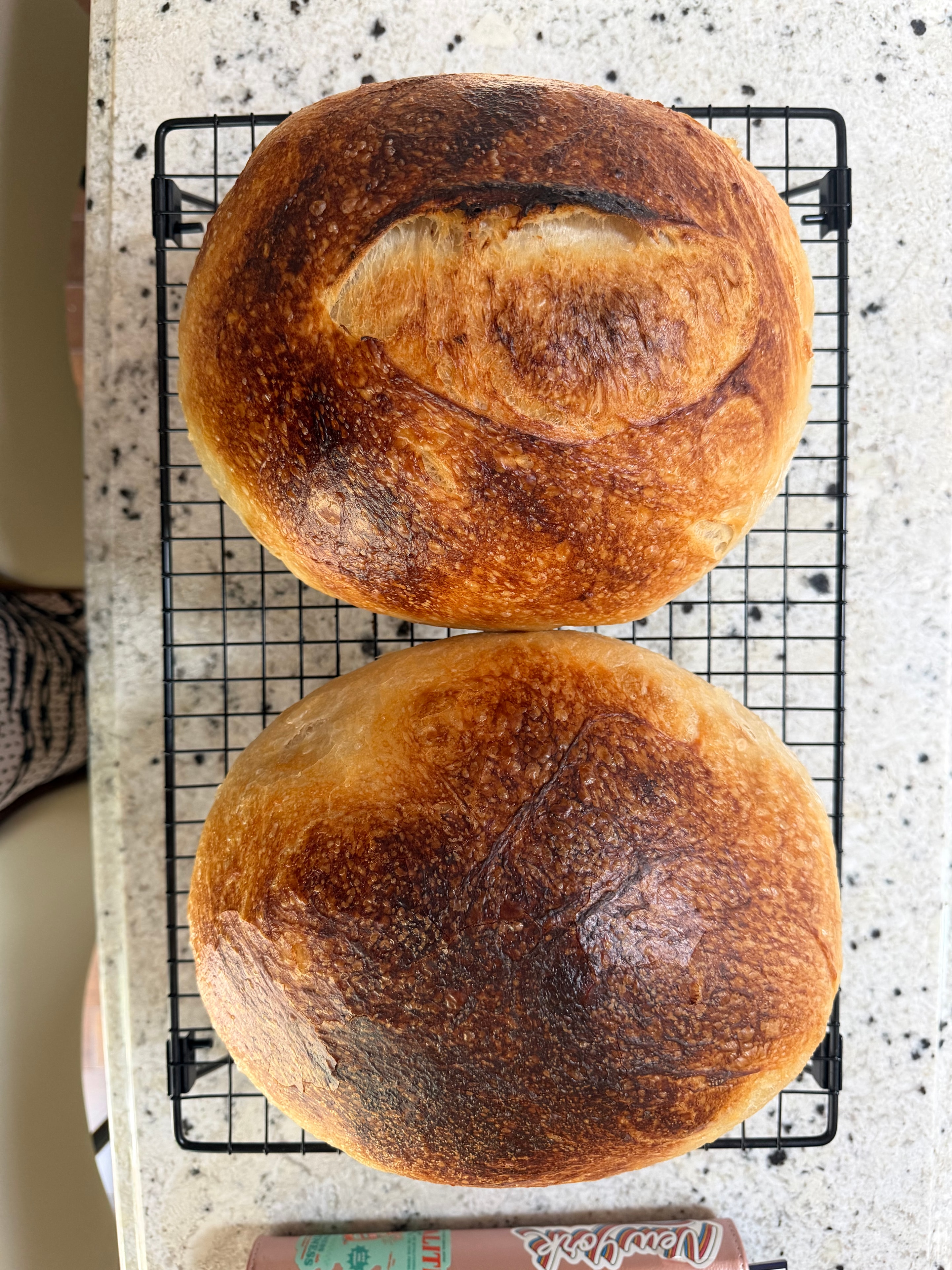Artisan bread fresh from the oven
